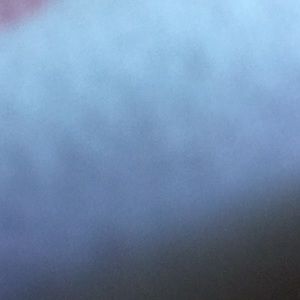 Meet your Posher, Aubree